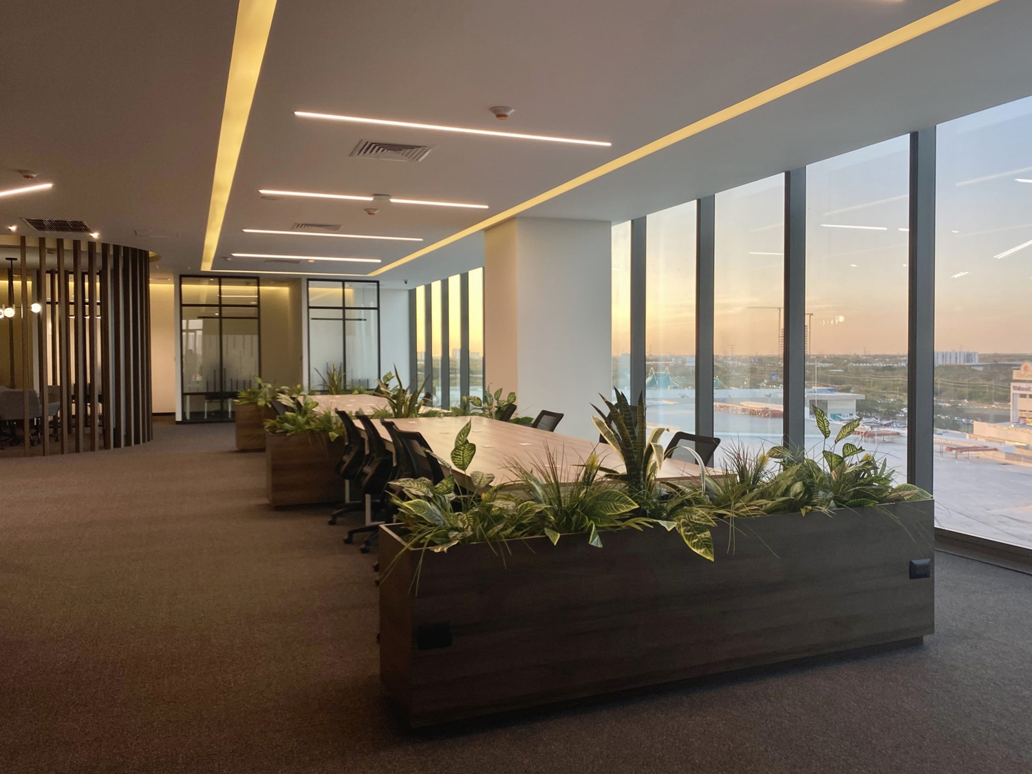 OFICINAS IRABIEN Y ASOCIADOS